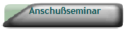 Anschuseminar