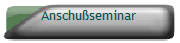 Anschuseminar